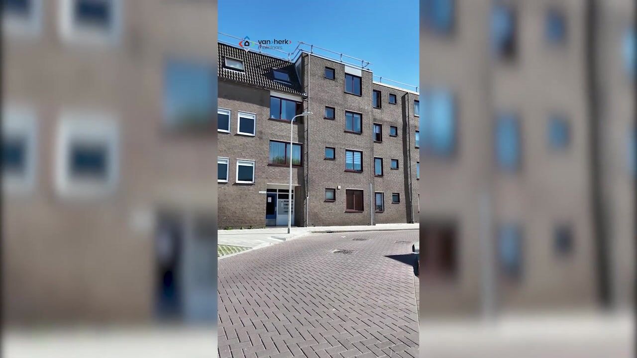 Video of Ringspoor 128