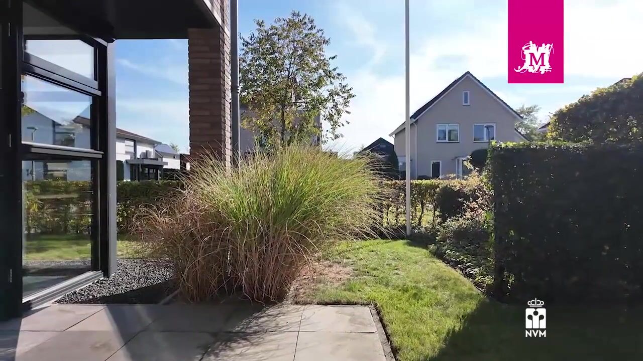 Video van Brasem 11