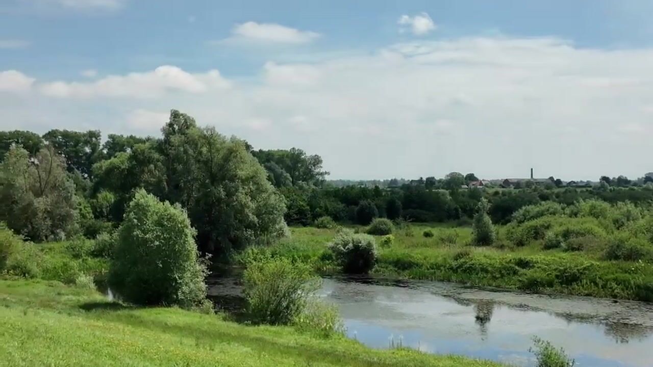 Video of Eshof 17