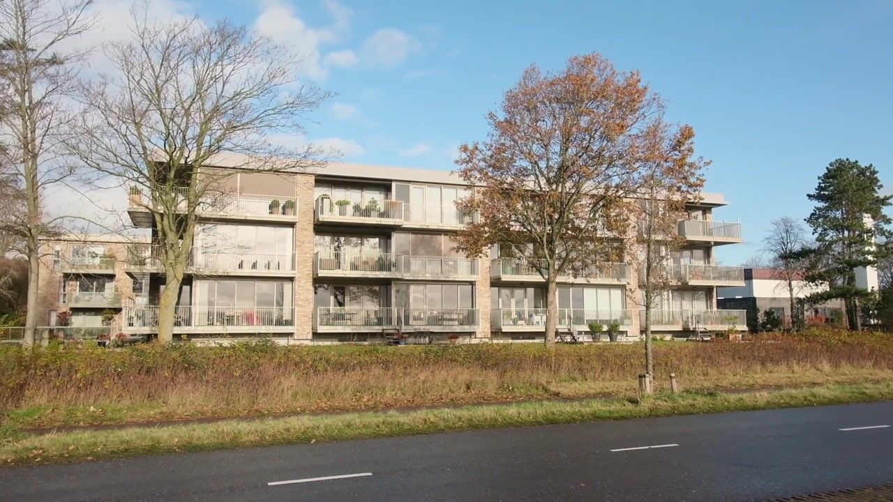 Video van Lijtweg 155