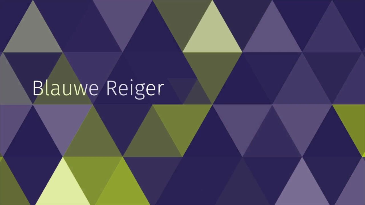 Video van Blauwe Reiger 19