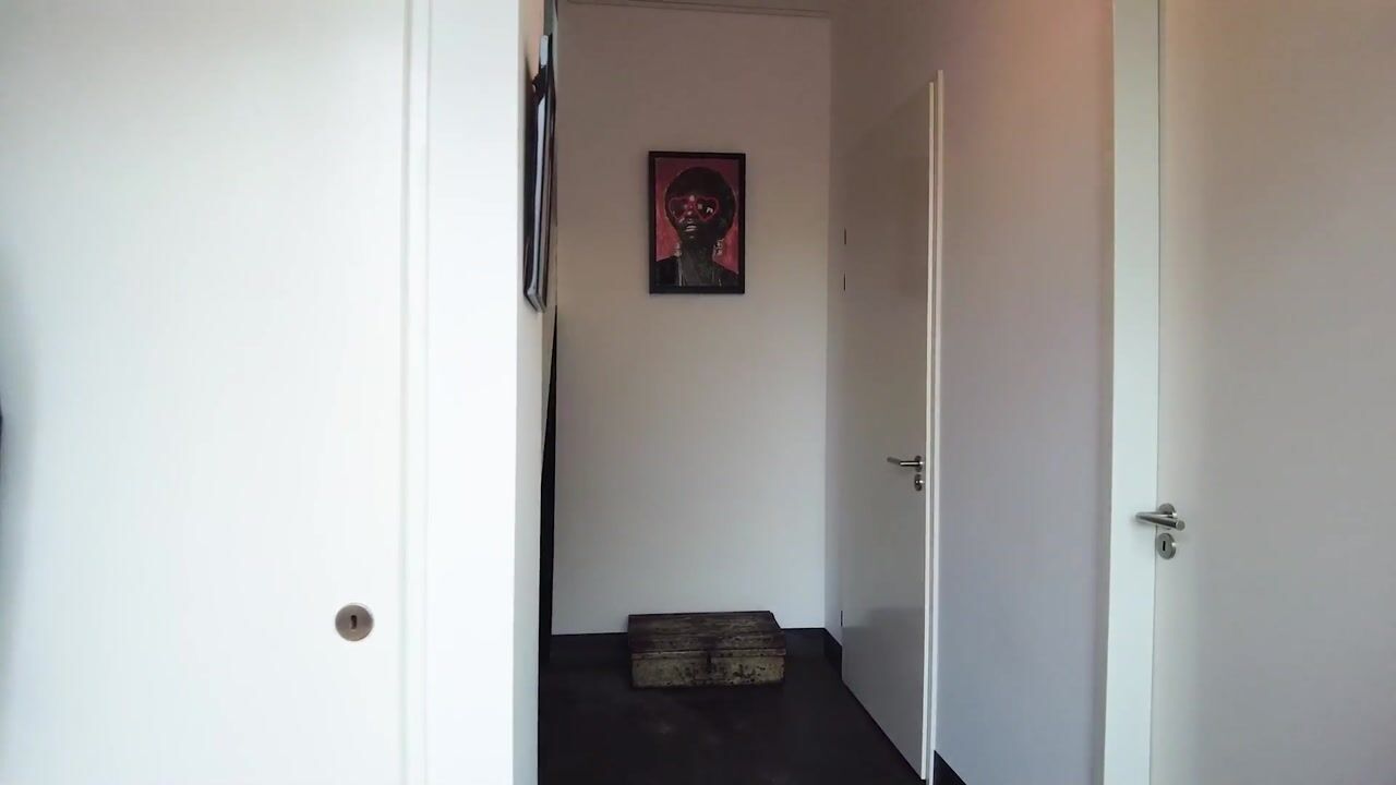 Video van Sweelinckstraat 22