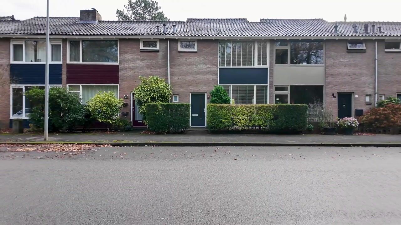 Video of Helper Brink 69