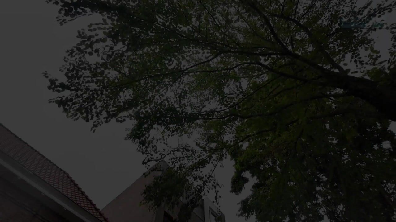 Video van Kleine Berg 127