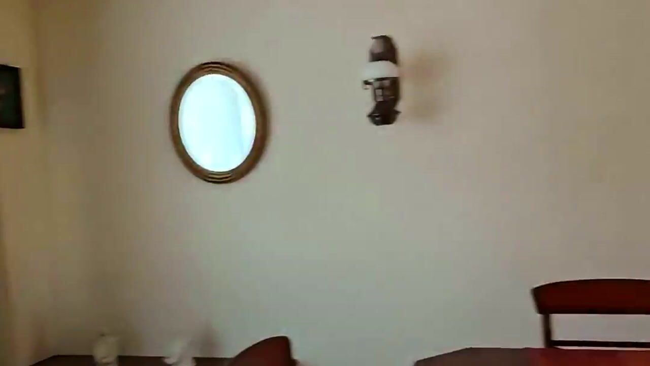 Video of Engelenstraat 23
