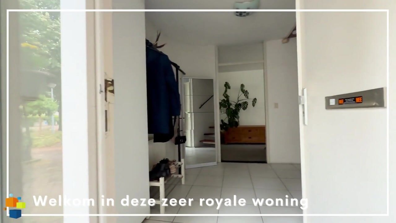 Video van Mr. Calspark 6