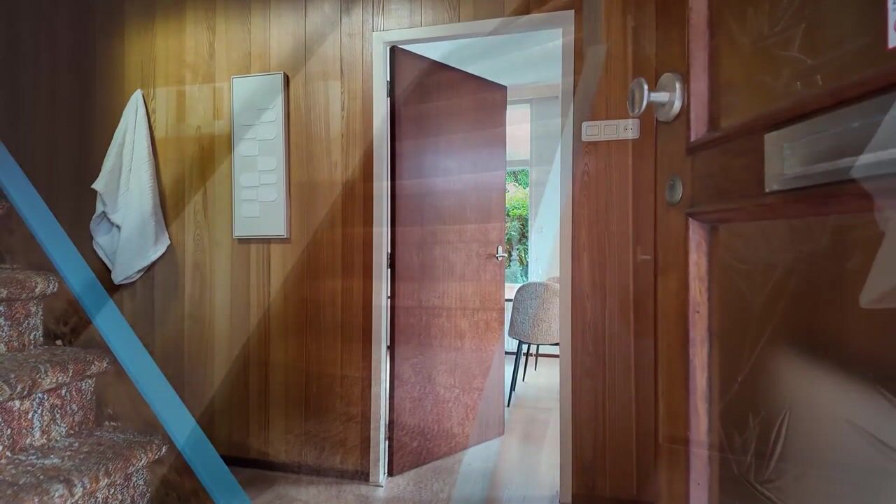 Video van Schaapweg 29