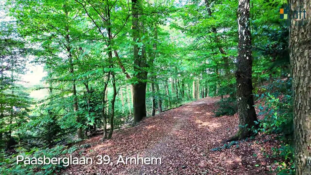 Video van Paasberglaan 39