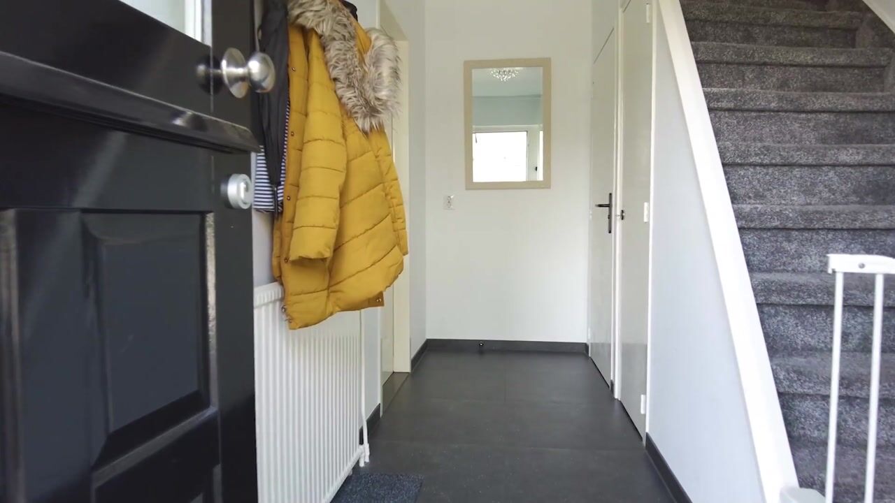 Video van Reeënlaan 45