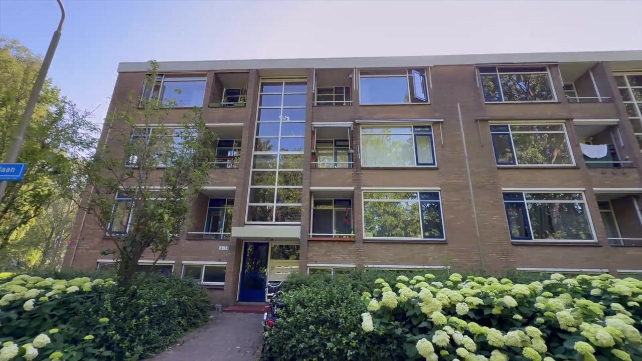 Video van Meeslaan 18