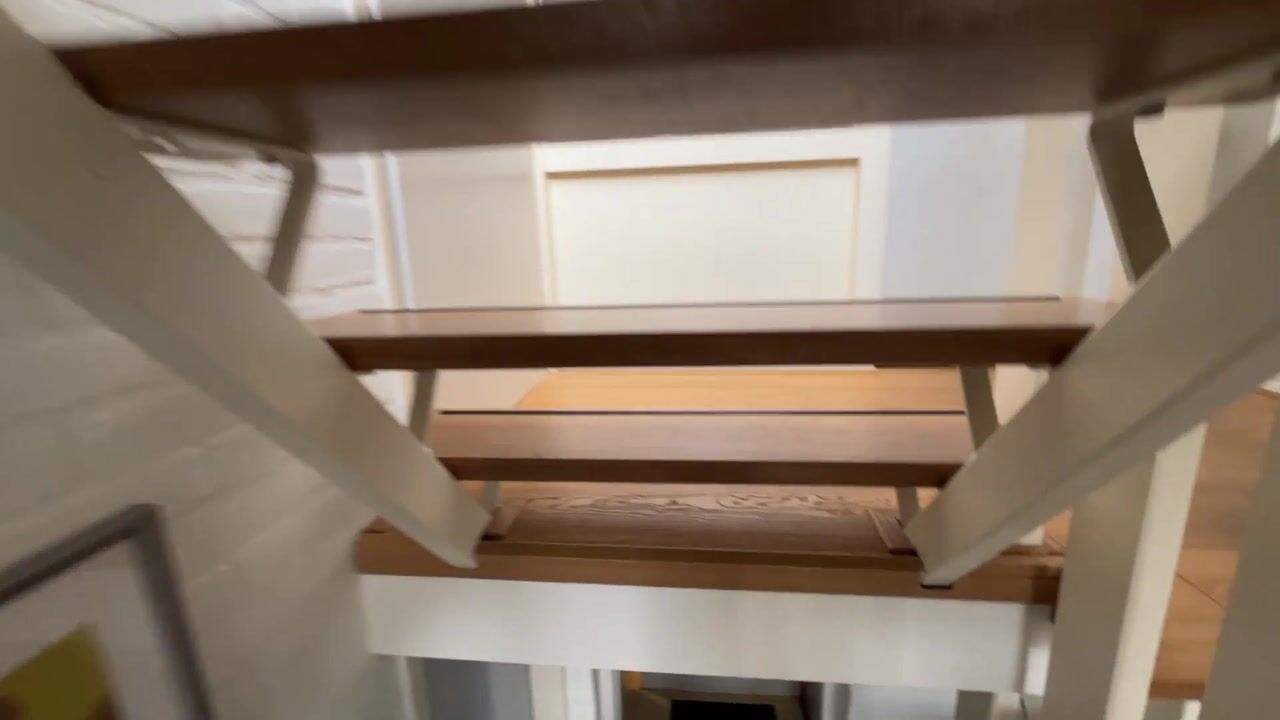 Video of Meijhorst 9201