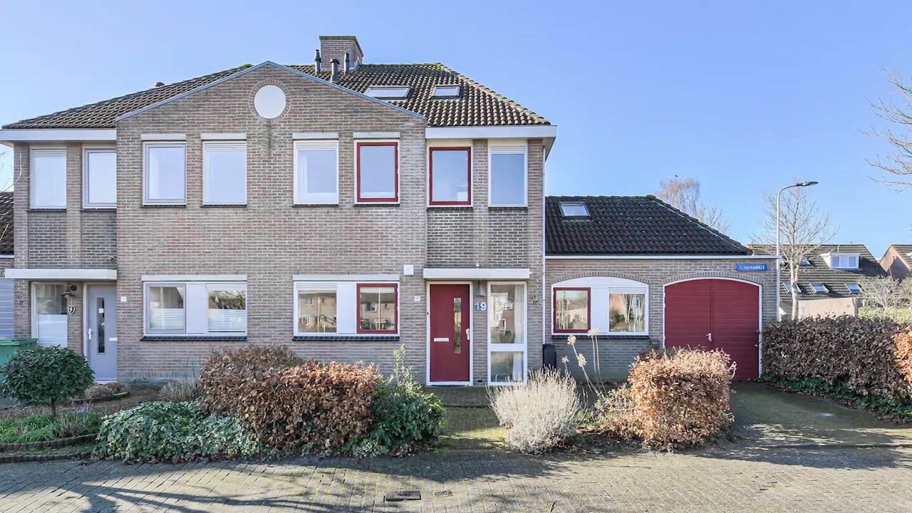 Video van Schijfkamille 19