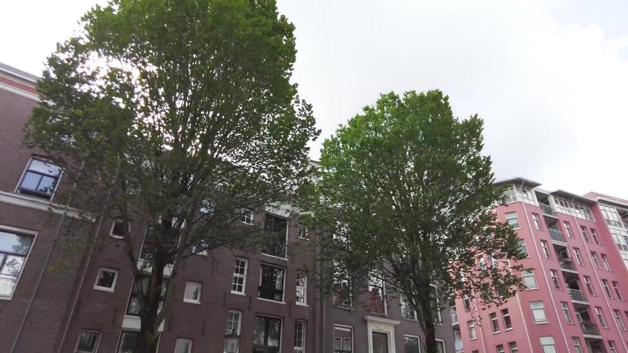 Video of Snoekjesgracht 14
