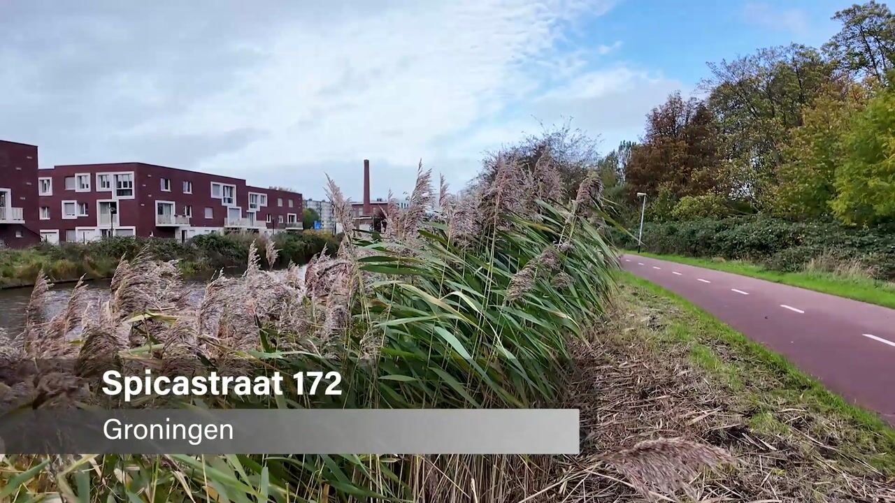 Video of Spicastraat 172