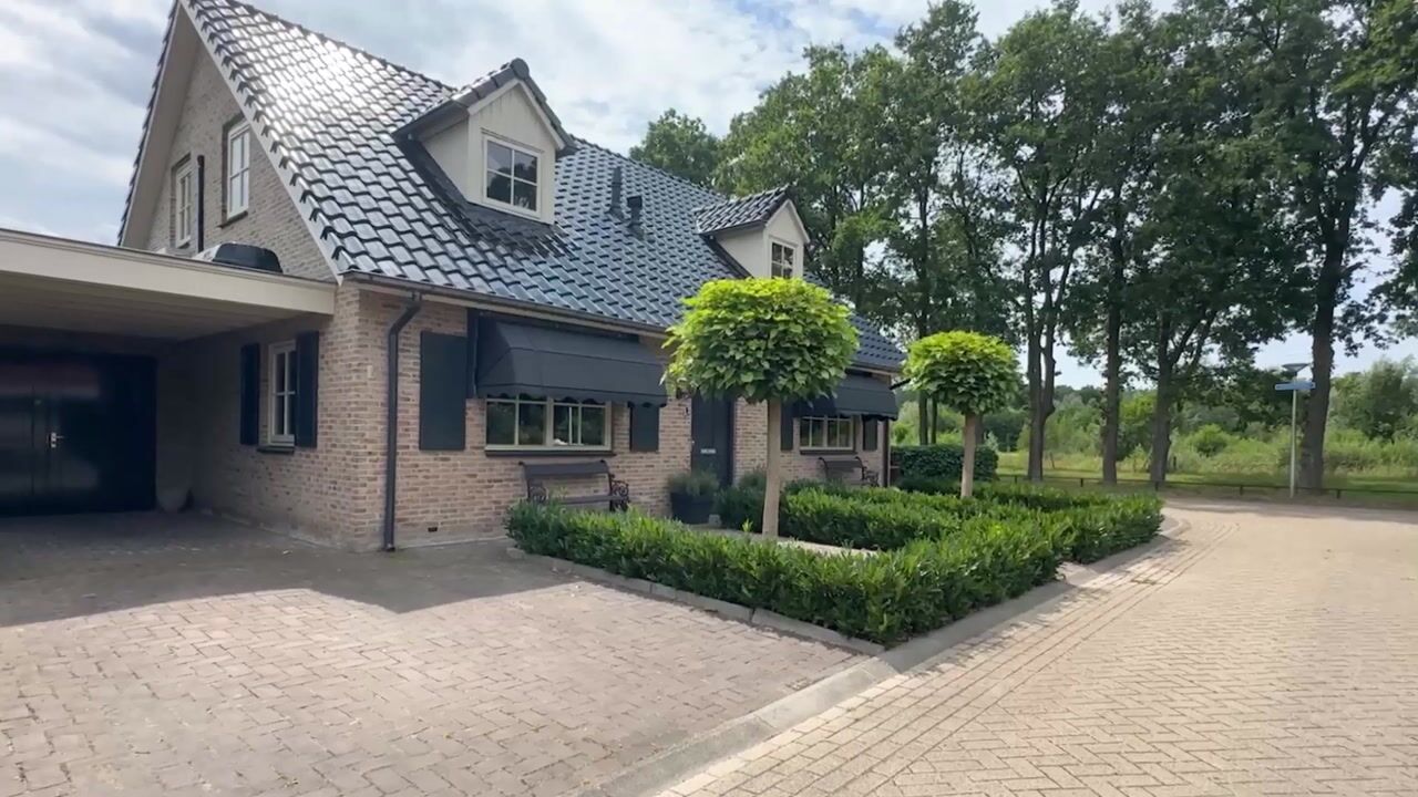 Video van Distelvlinder 2