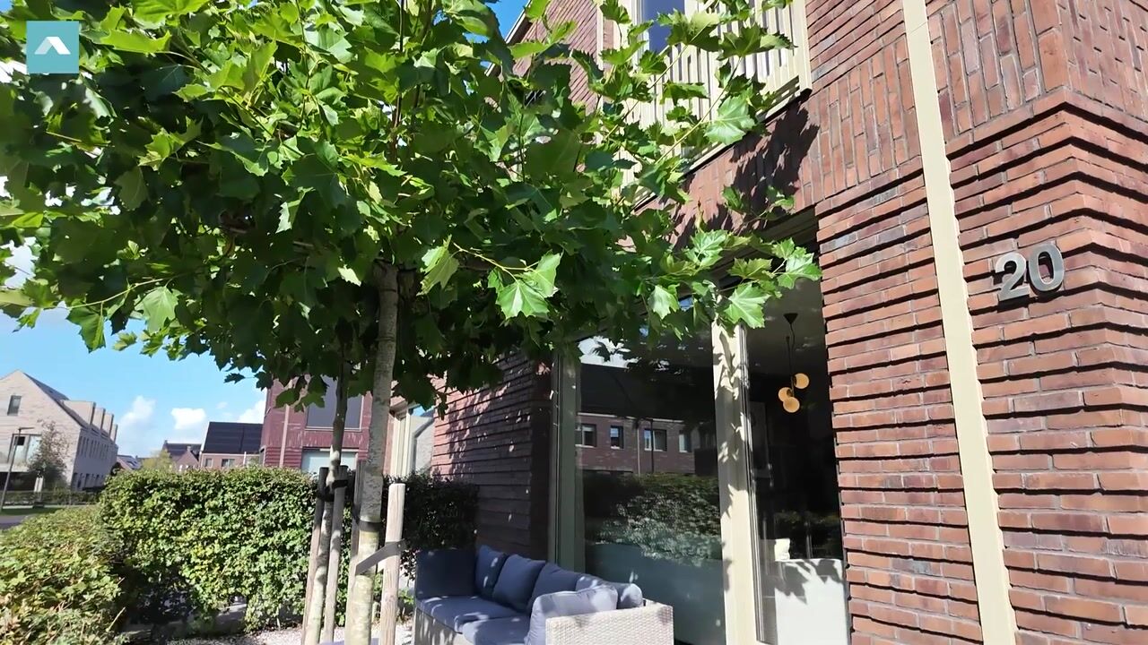 Video of Pijlkruid 20