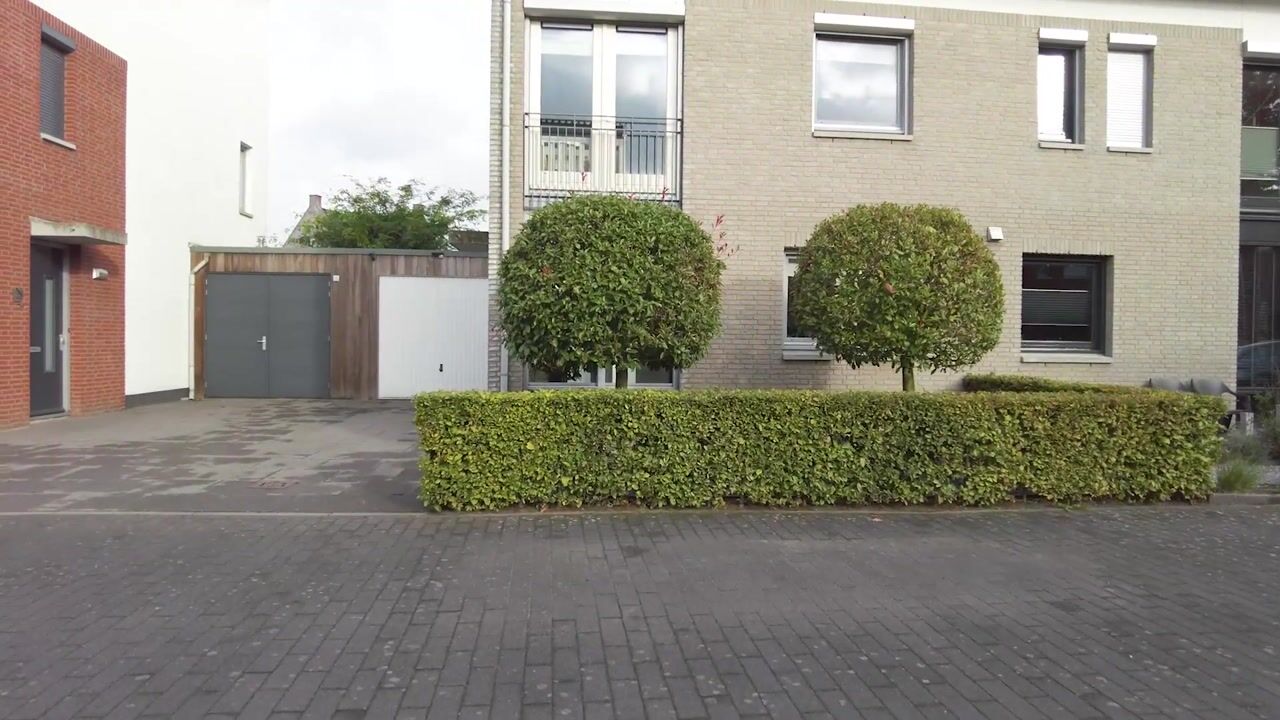 Video of Havikskruid 53