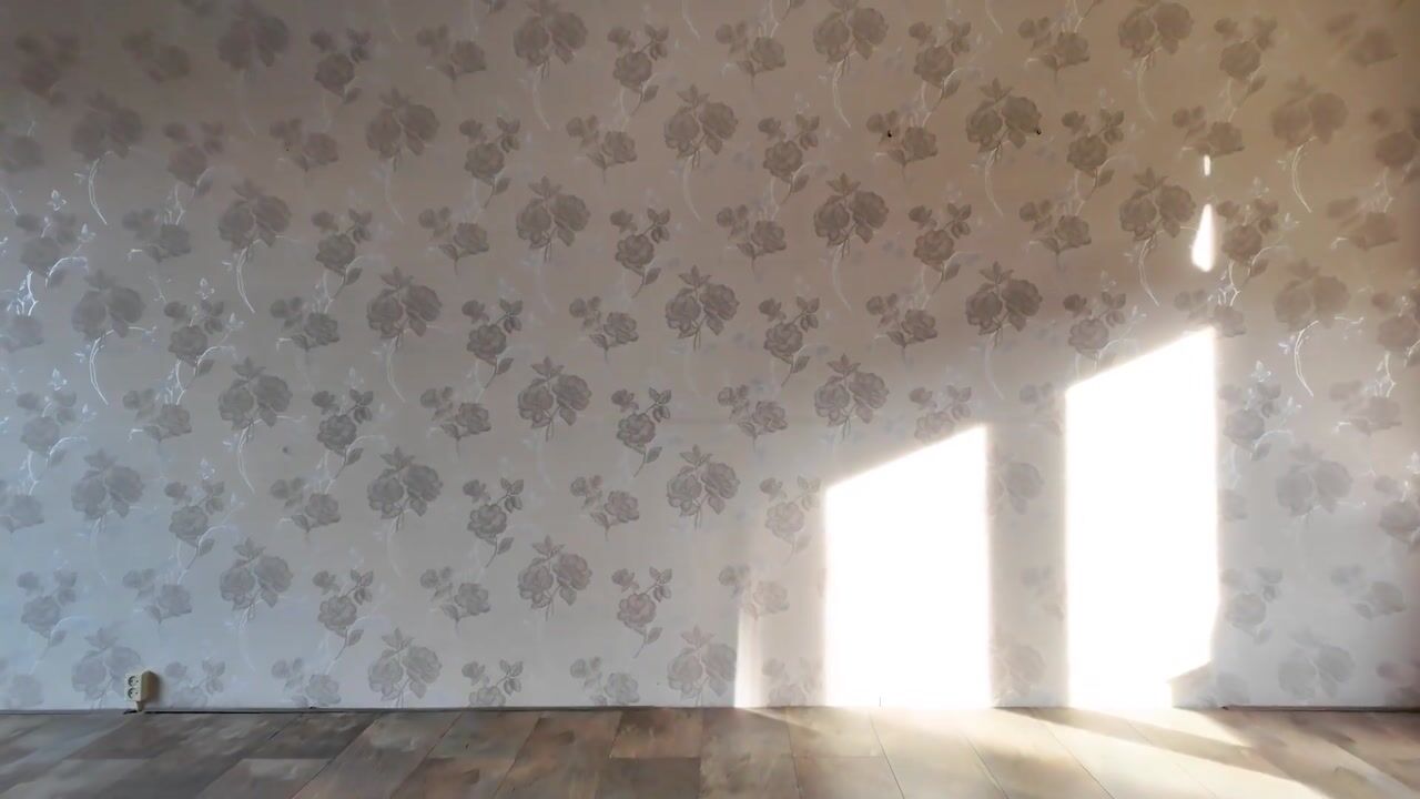 Video of Plassingel 6