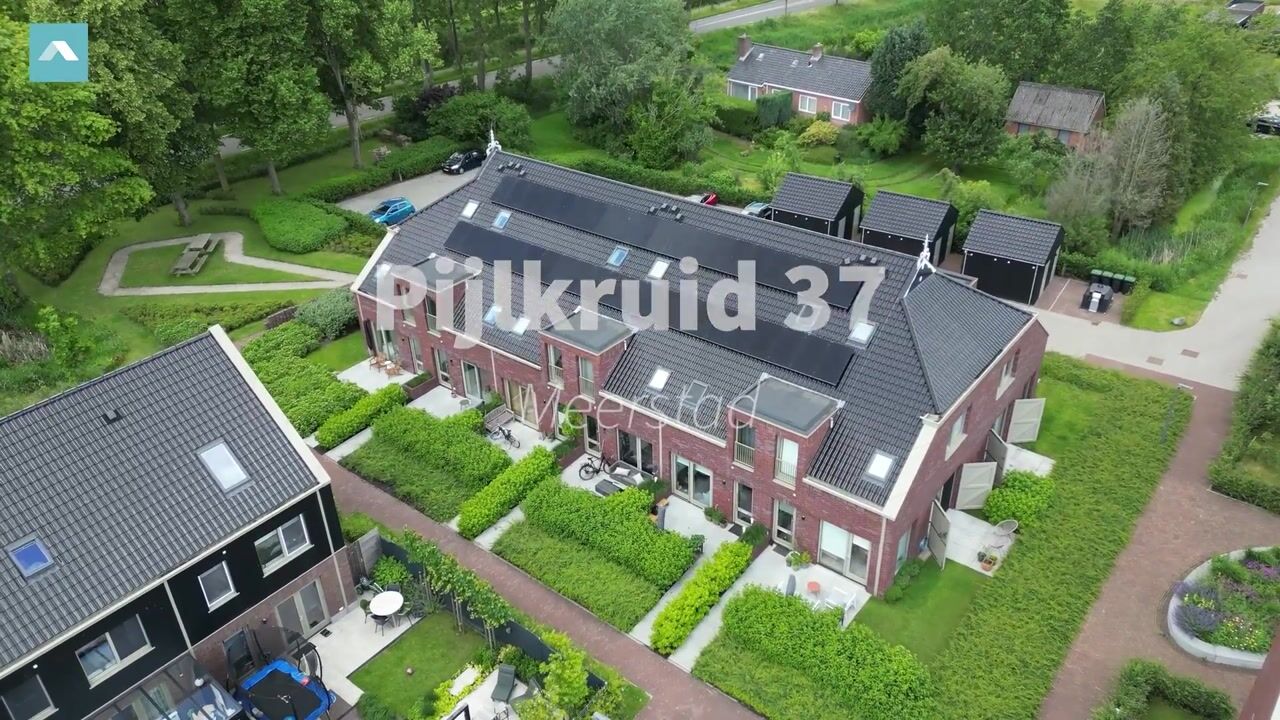 Video van Pijlkruid 37