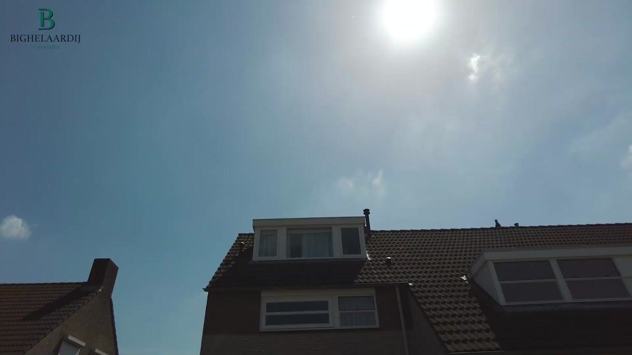 Video van Roerdomp 37