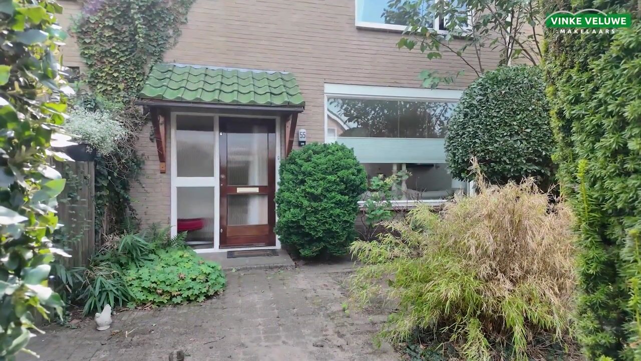 Video van Bothastraat 55