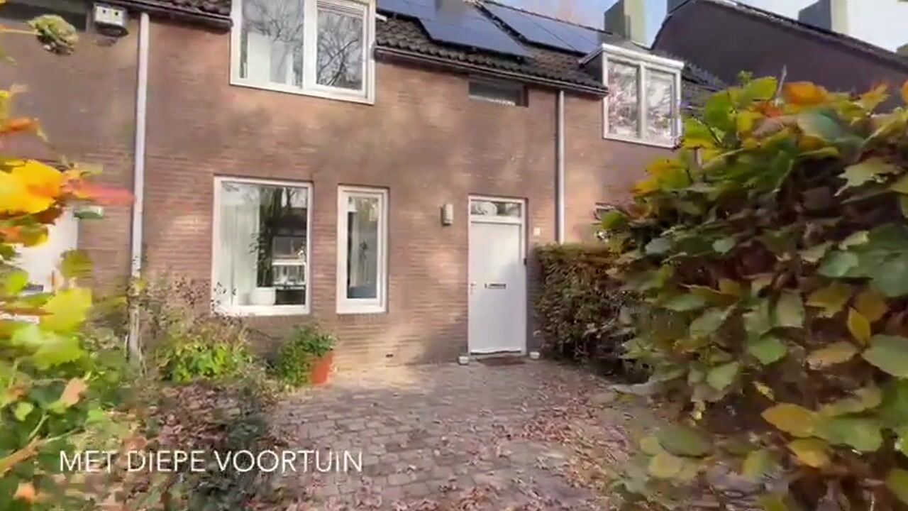 Video of Schipbeek 9