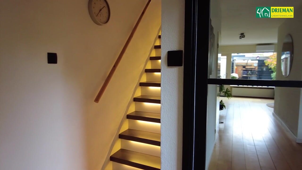 Video of de Dieze 21