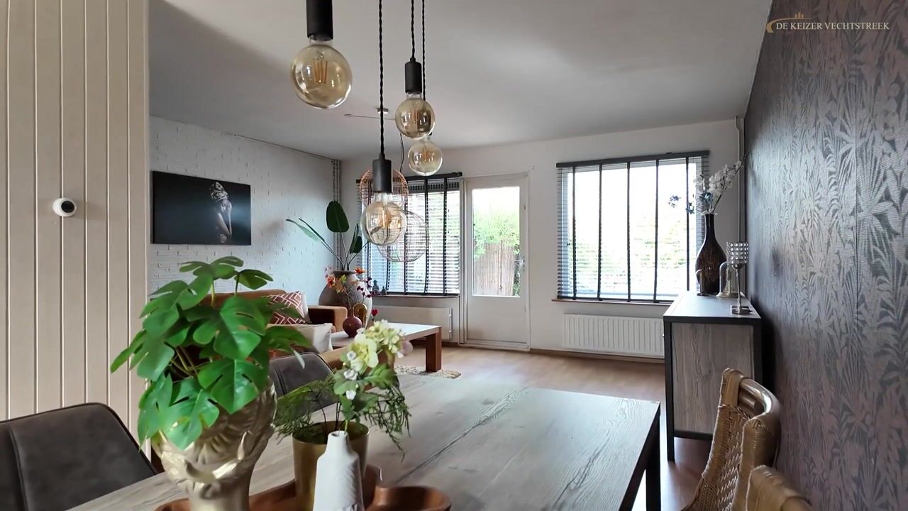 Video van Zebraspoor 62