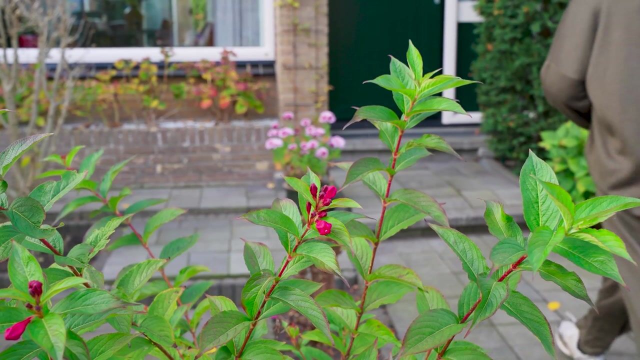 Video of Wantschipperstraat 3