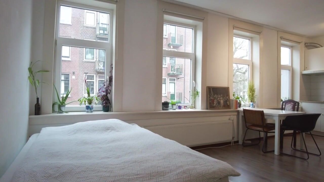Video van Willem Beukelszstraat 43