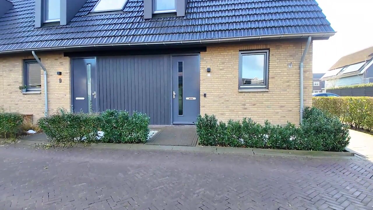 Video van Koolmees 11