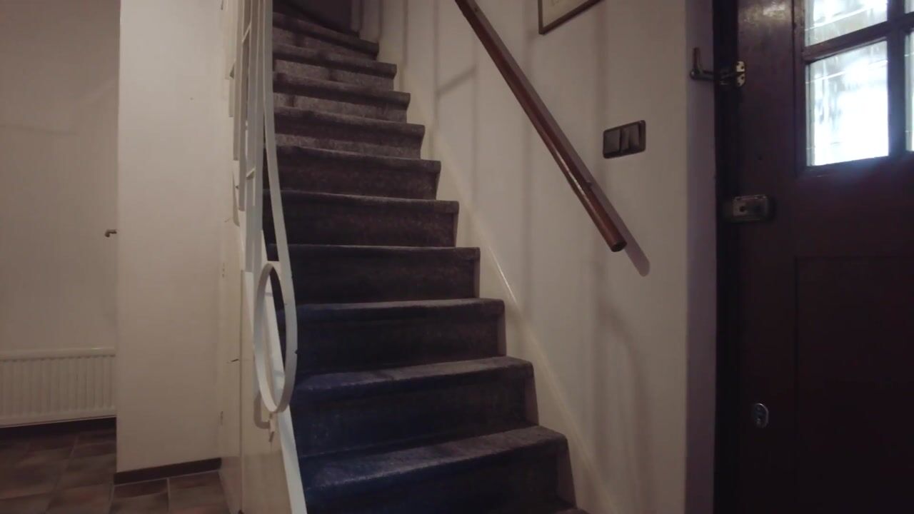 Video of Achter de Molen 60