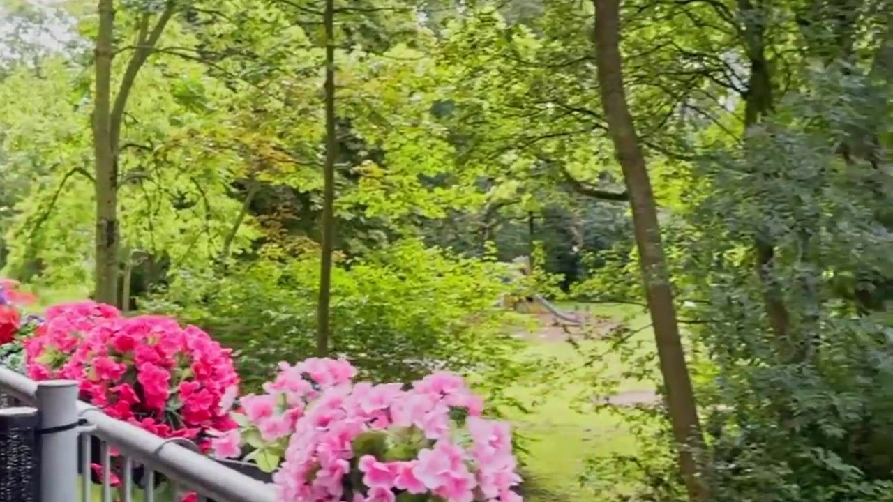 Video van Oostervenne 314