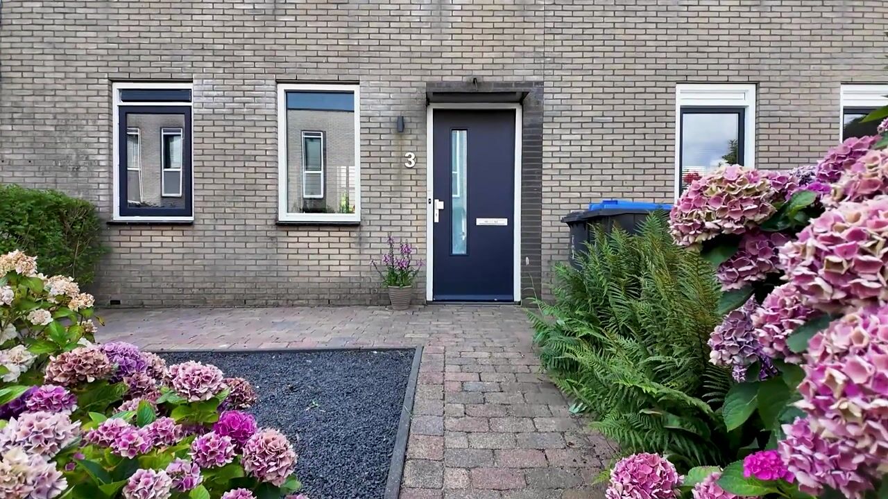 Video van Willem Valkstraat 3