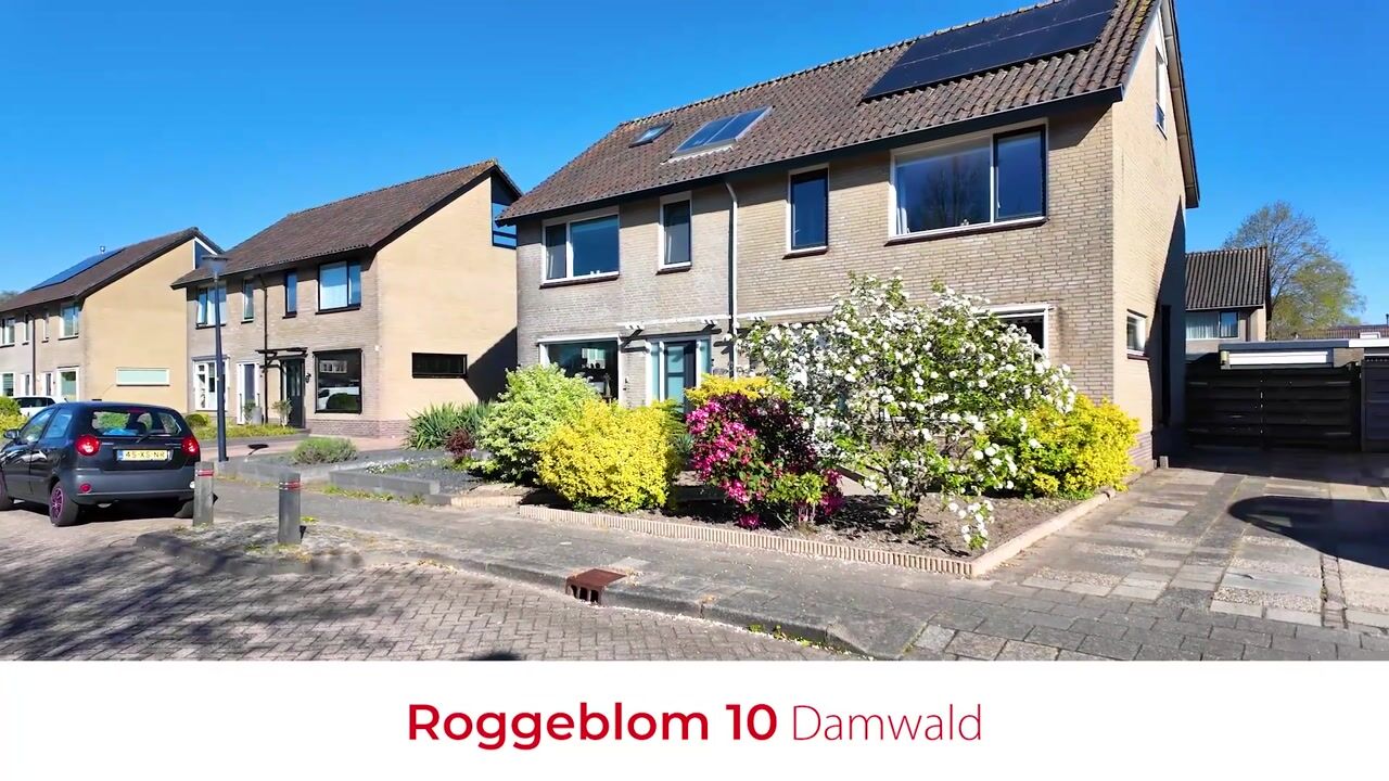 Video of Roggeblom 10