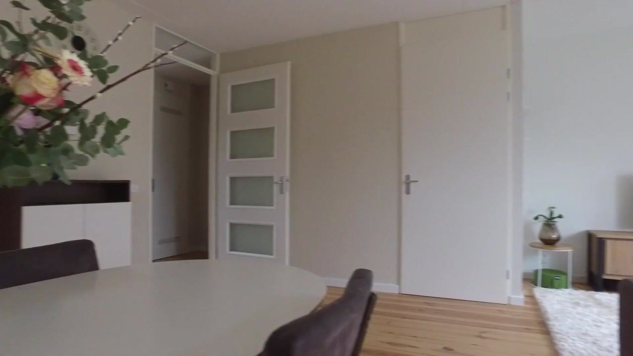 Video of Bruinvis 11