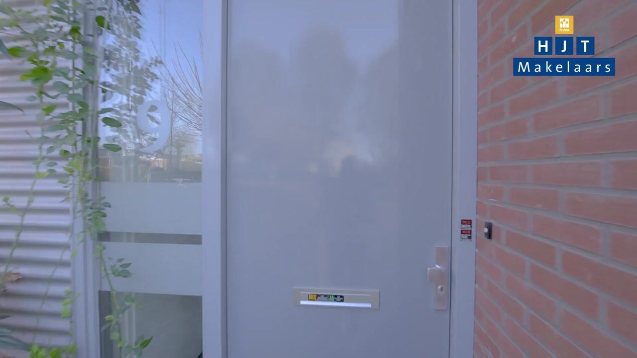 Video of Morel 9
