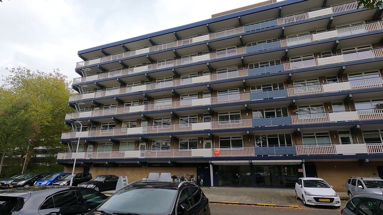 Video of Dunantstraat 658