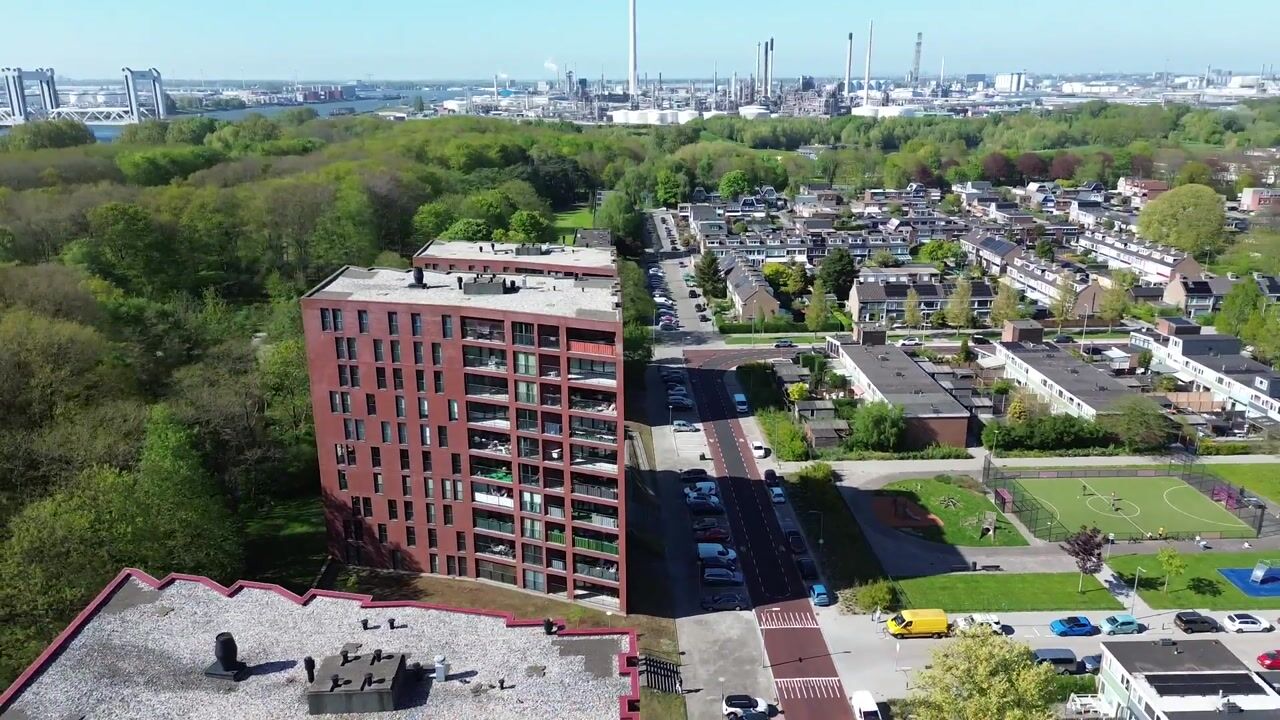 Video van Wijnruitstraat 249