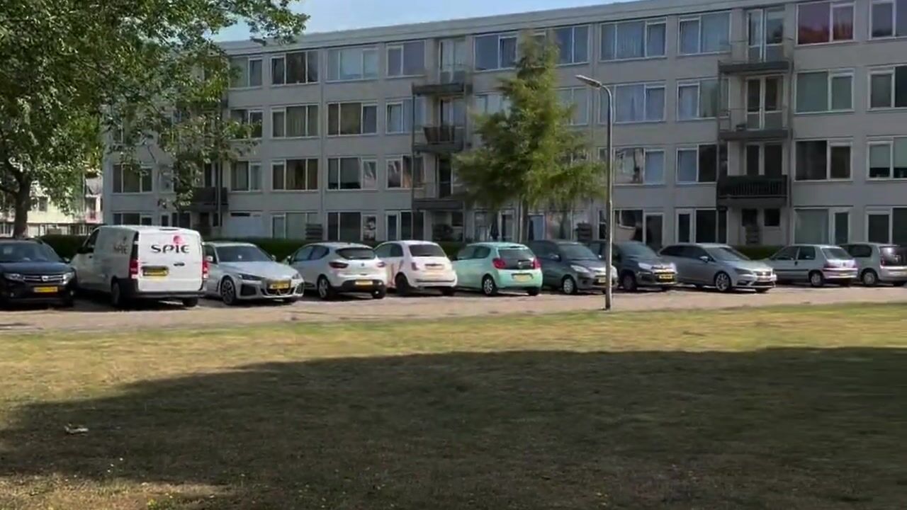 Video van Prinsessenweg 59