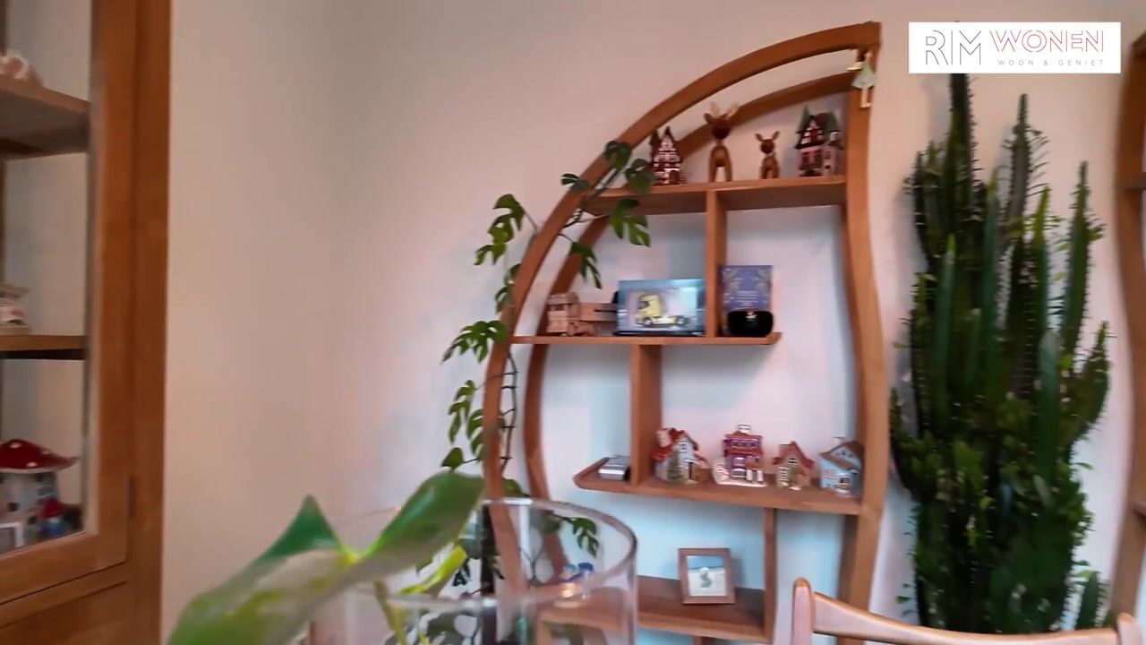 Video van Dr. L.J. Rogierstraat 104