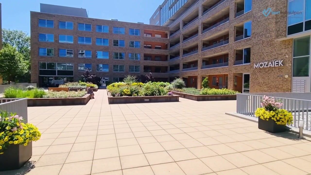 Video of Laan van de Helende Meesters 320