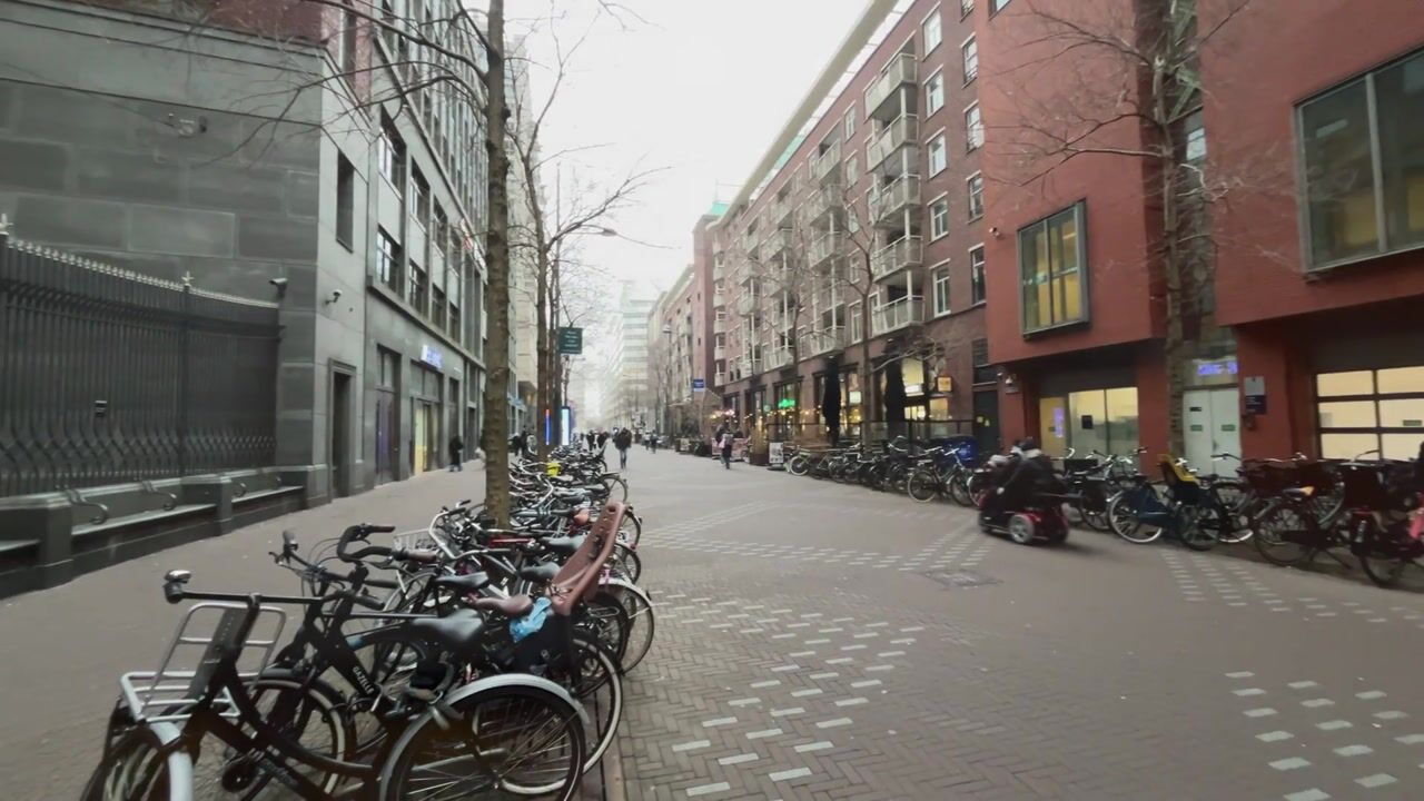 Video of Turfmarkt 216