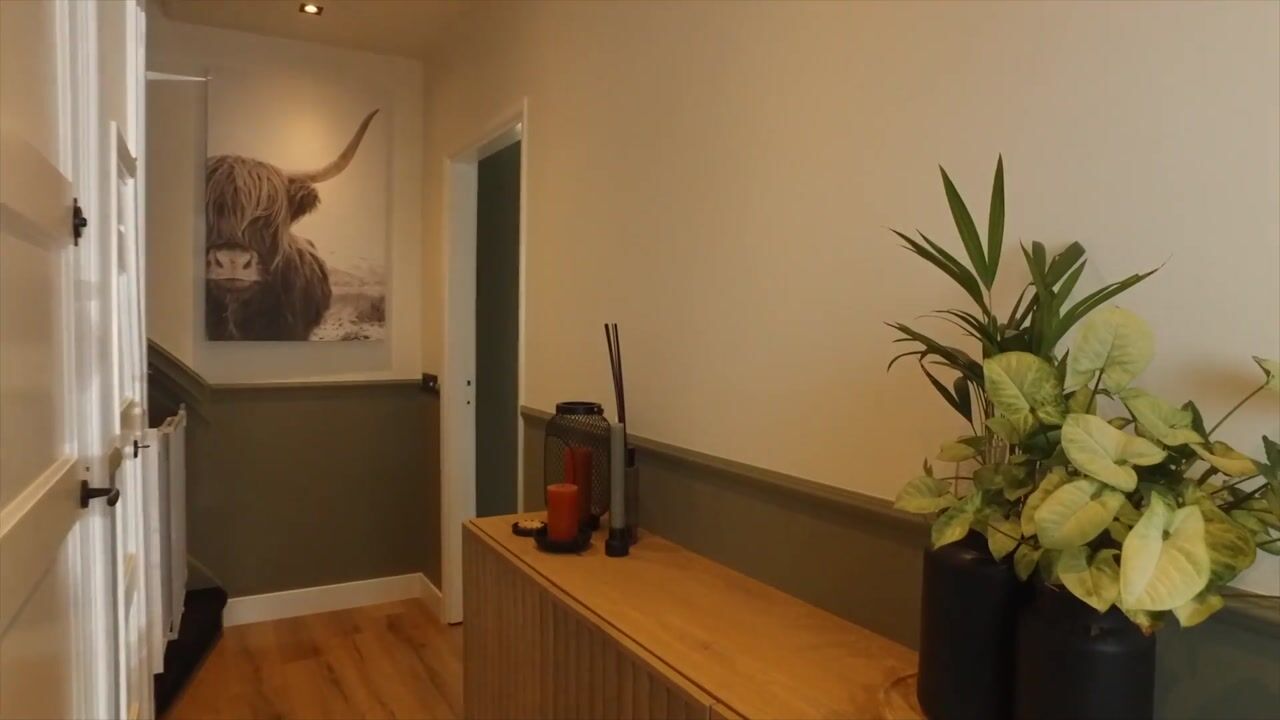 Video of Hofveld 53
