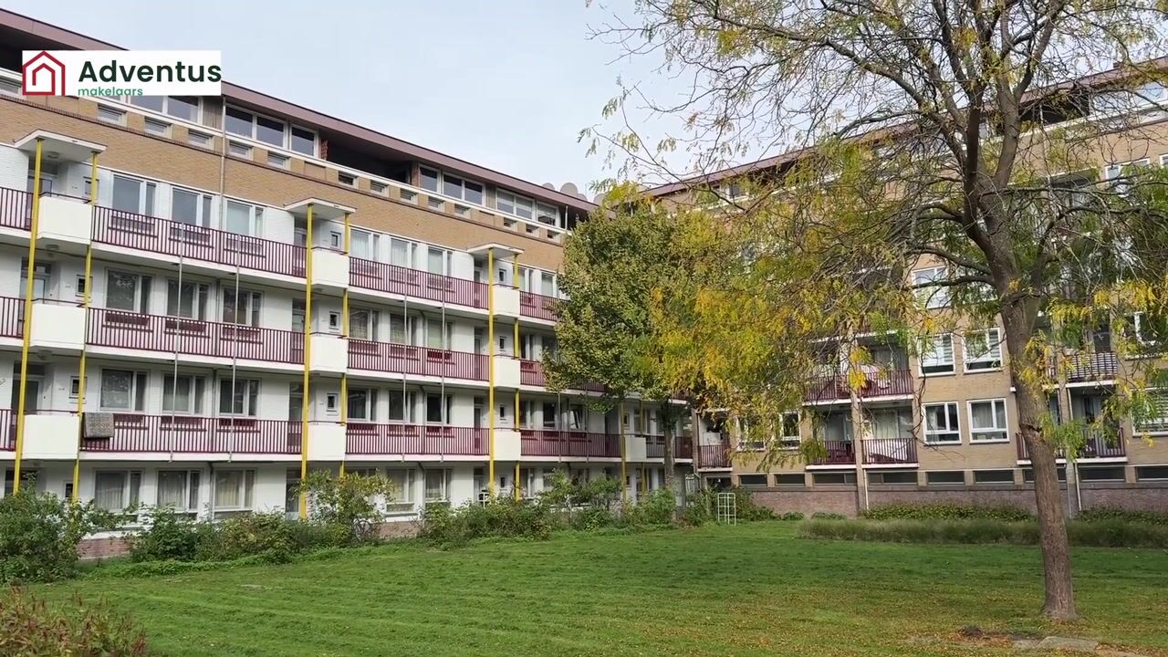 Video of Aalbersestraat 242-A