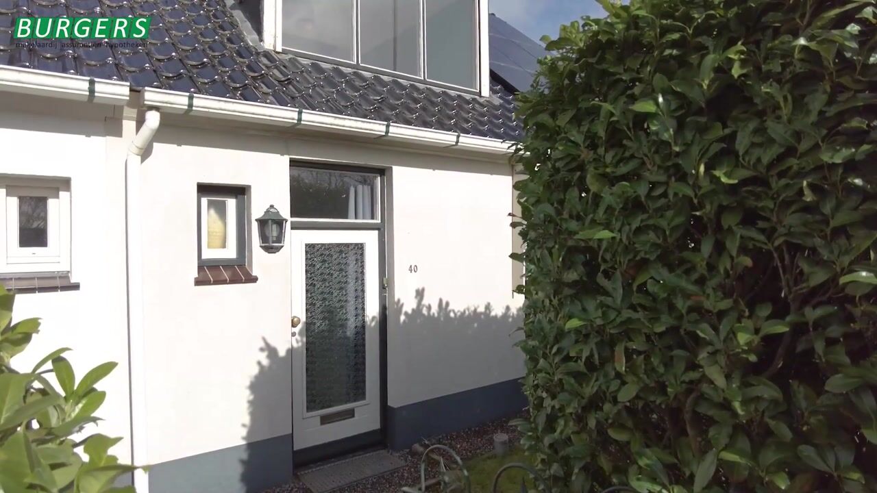 Video van Botsestraat 40
