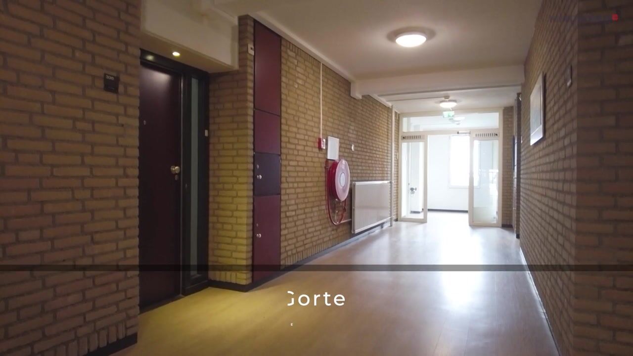 Video of Herman Gorterlaan 335