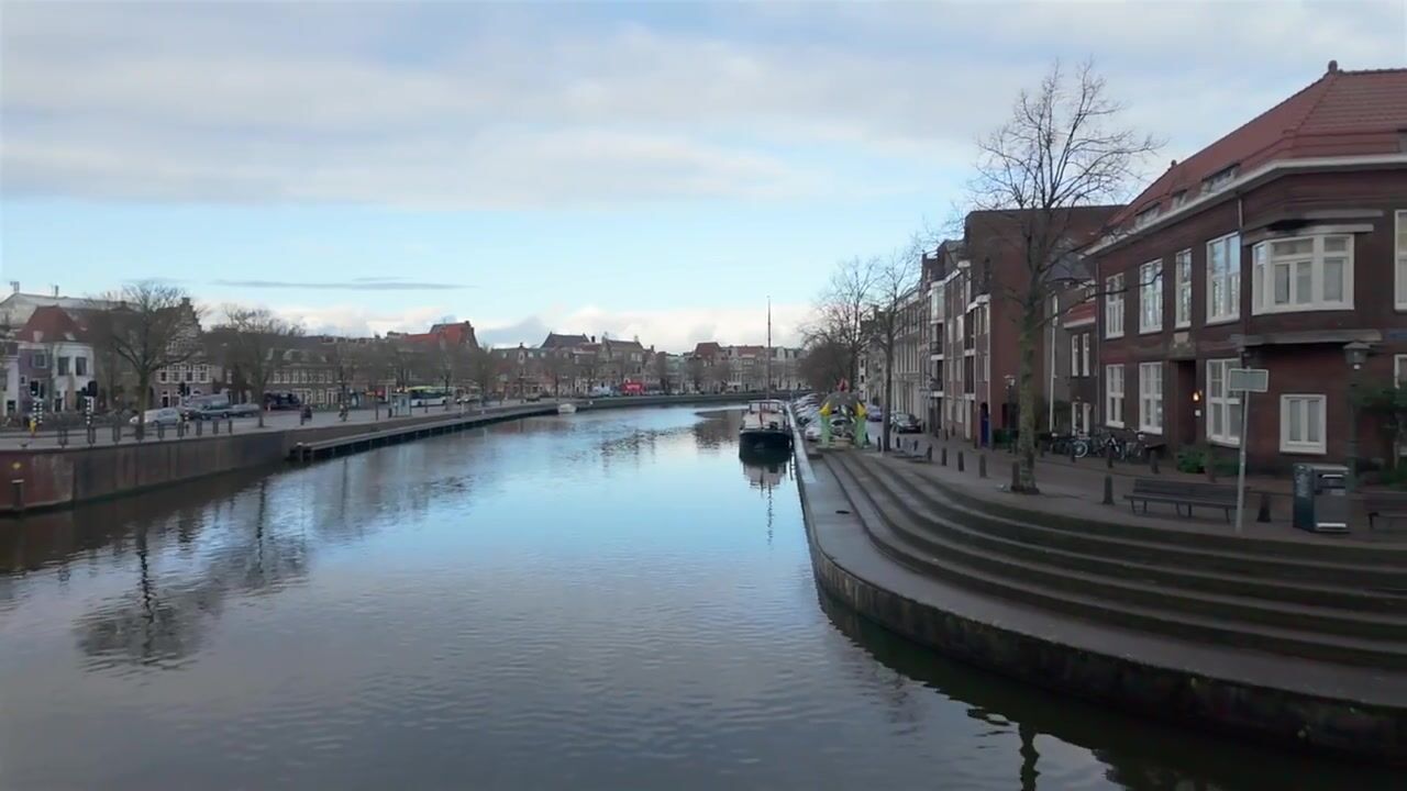 Video van Spaarne 217