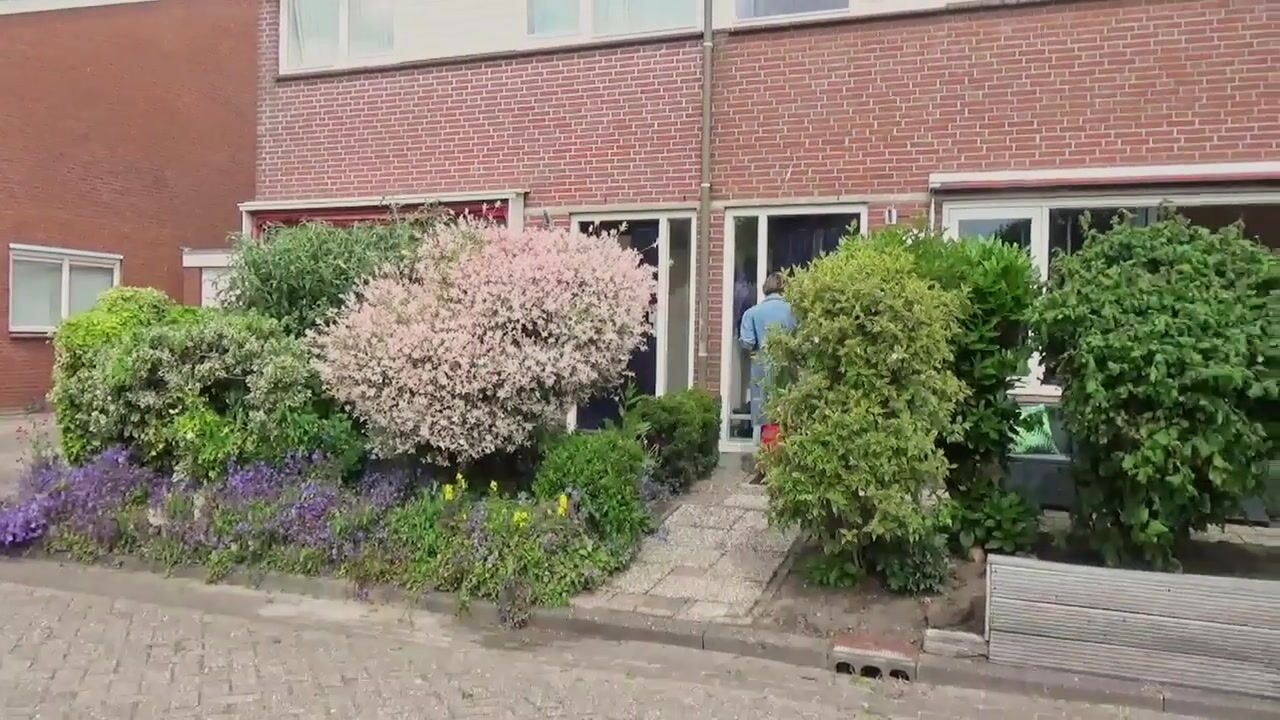 Video van De Feanrânne 14