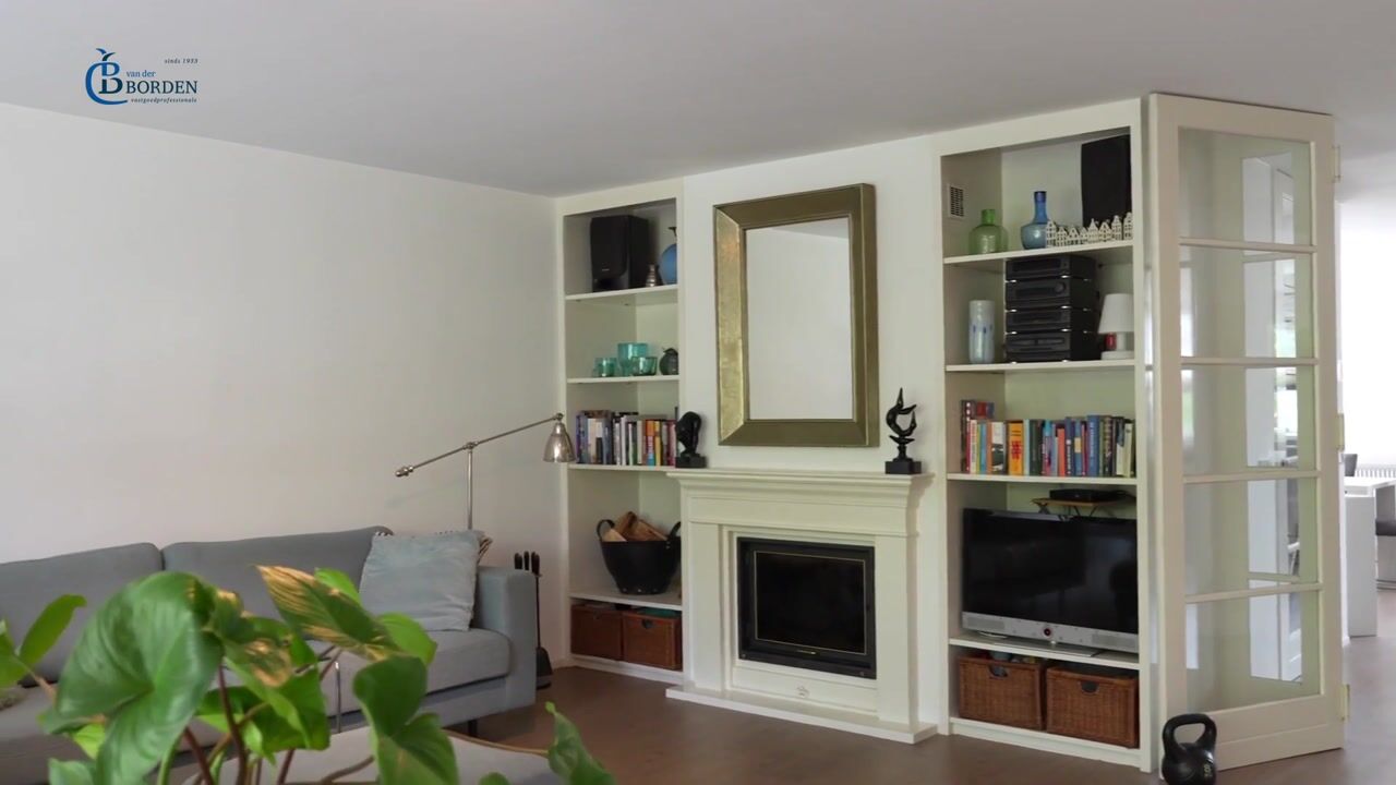 Video of Zwarte Dolfijn 33